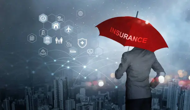 Top 6 Insurance plans Everyone Needs