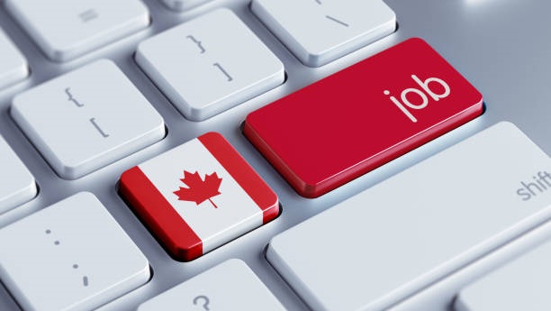 Top Paying Career Opportunities in Canada 2023