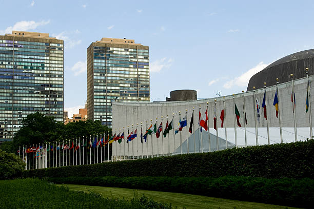 United Nations Internship 2022 | Apply Now